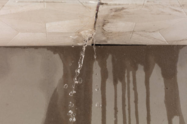 Professional Structural Drying technician working in Holt, MO